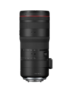 Canon EOS R6 Mark III + RF 24-105mm f/2.8 – Comprar Canon EOS R6 Mark III + RF 24-105mm f/2.8 – Comprar
