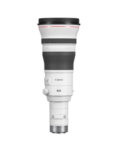 Canon objetivo RF 800 mm F5.6 L IS USM | Teleobjetivo