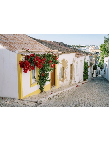 Nikon Z 50mm f/1.4 Nikon OBJECTIF PHOTO 464,00 € MCZ DIRECT