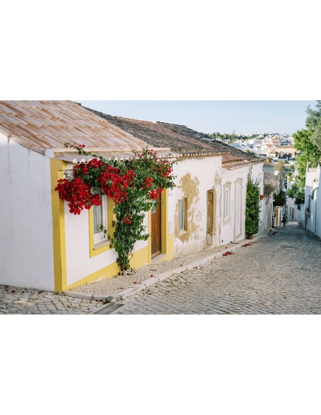 Nikon Z 50mm f/1.4 Nikon OBJECTIF PHOTO 464,00 € MCZ DIRECT