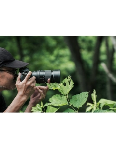Hombre fotografiando hojas verdes en un entorno natural, capturado con Sony FE 100mm f/2.8 Macro GM Hombre fotografiando hojas verdes en un entorno natural, capturado con Sony FE 100mm f/2.8 Macro GM