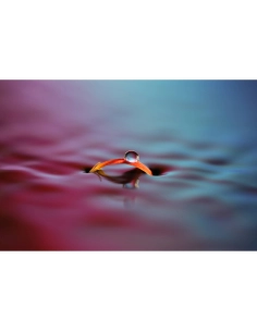A close-up of a water droplet on a colorful surface with ripples, captured with Sony FE 100mm f/2.8 Macro GM A close-up of a water droplet on a colorful surface with ripples, captured with Sony FE 100mm f/2.8 Macro GM