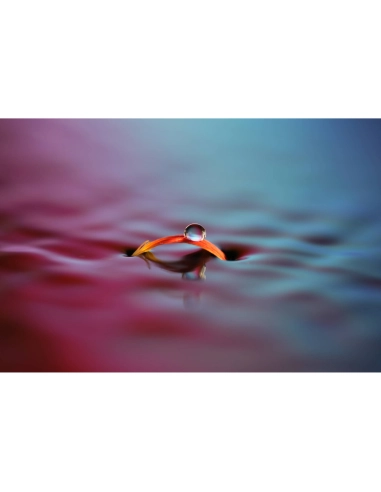 Sony FE 100mm f/2.8 Macro GM Sony OBJECTIFS SONY 1 280,00 € MCZ DIRECT