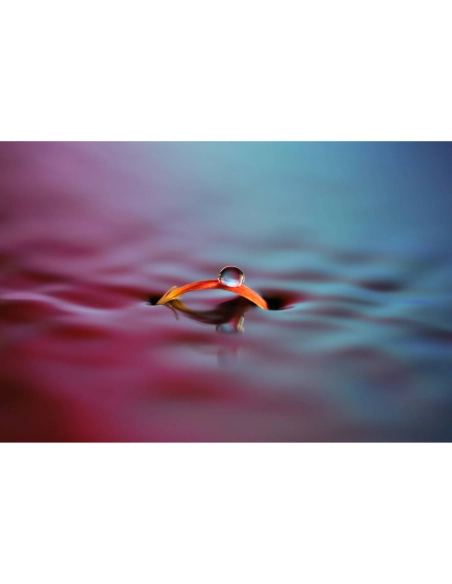 Sony FE 100mm f/2.8 Macro GM Sony OBJECTIFS SONY 1 280,00 € MCZ DIRECT