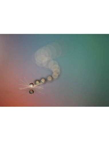 Sony FE 100mm f/2.8 Macro GM Sony OBJECTIFS SONY 1 280,00 € MCZ DIRECT