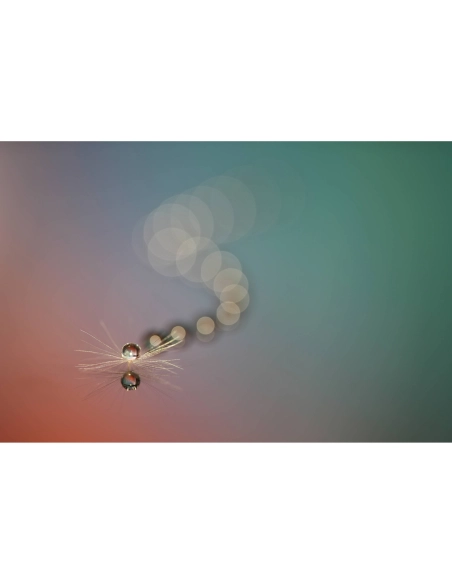 Sony FE 100mm f/2.8 Macro GM Sony OBJETIVOS SONY 1.280,00 € MCZ DIRECT