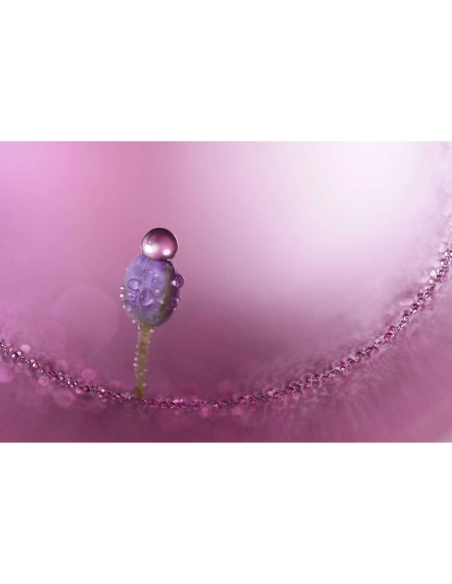 Sony FE 100mm f/2.8 Macro GM Sony OBJECTIFS SONY 1 280,00 € MCZ DIRECT