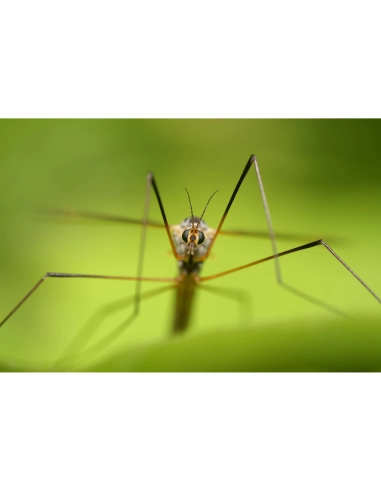 Sony FE 100mm f/2.8 Macro GM Sony OBJECTIFS SONY 1 280,00 € MCZ DIRECT