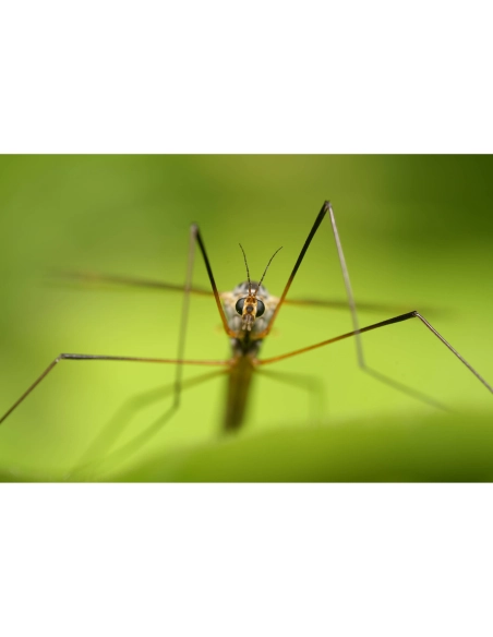 Sony FE 100mm f/2.8 Macro GM Sony OBJETIVOS SONY 1.280,00 € MCZ DIRECT