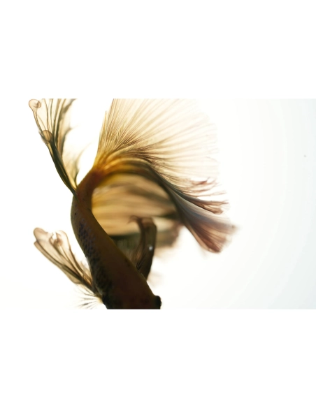 Sony FE 100mm f/2.8 Macro GM Sony OBJETIVOS SONY 1.280,00 € MCZ DIRECT