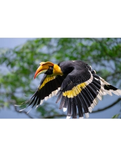 Nikon Z 600mm f/6.3 VR S | Objectif Nikon Nikon Z 600mm f/6.3 VR S | Objectif Nikon