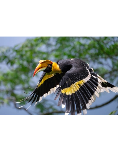 Nikon Z 600mm f/6.3 VR S | Achat et Prix