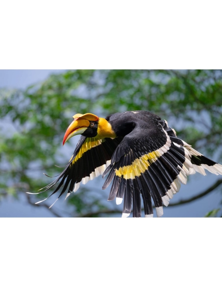 Nikon Z 600mm f/6.3 VR S | Achat et Prix