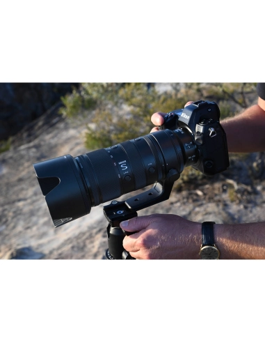 A person holding a camera with a long lens, surrounded by nature in soft evenin, captured with Nikon Z 70-200mm f/2.8 VR S II