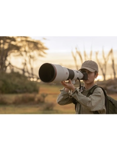 Fotógrafa en un ambiente natural, con una cámara de gran lente, luz suave al atardecer, capturado con Sony a7R VI Fotógrafa en un ambiente natural, con una cámara de gran lente, luz suave al atardecer, capturado con Sony a7R VI