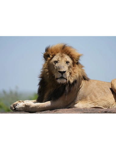 Sony FE 100-400mm F4.5 GM OSS | MCZ Direct