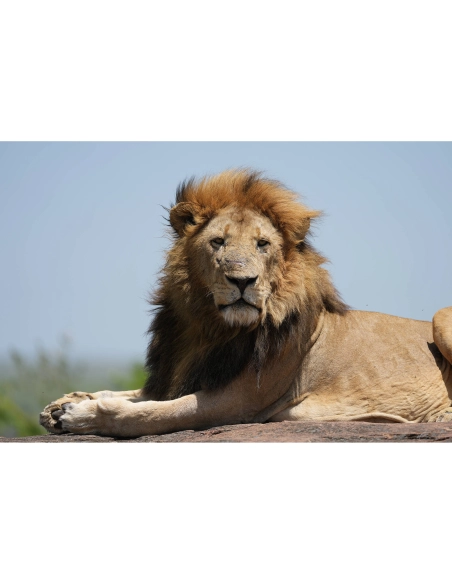 Sony FE 100-400mm F4.5 GM OSS | MCZ Direct
