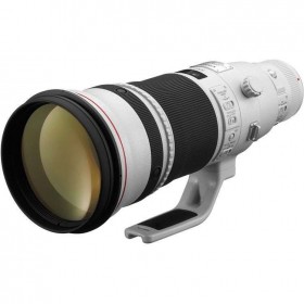 Canon EF 500mm f/4L IS II USM-1