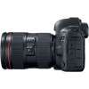 Canon EOS 5D Mark IV + 24-105mm f/4L II-1