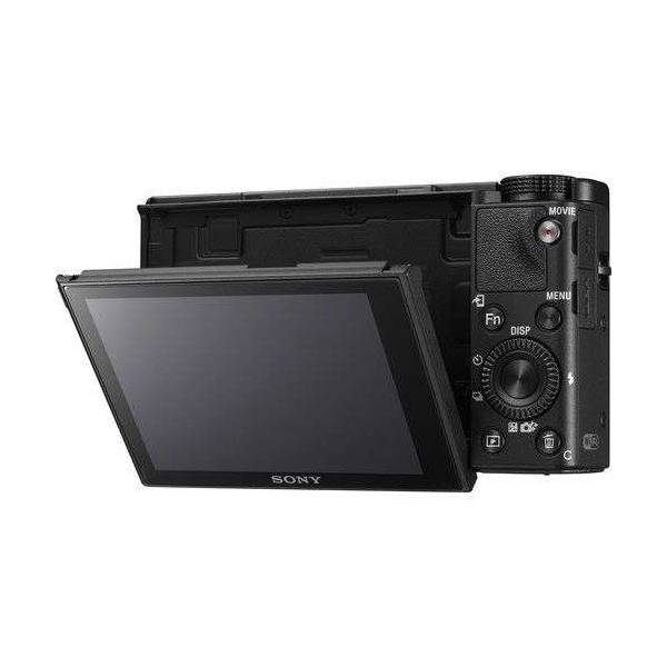 Sony Cyber-shot DSC-RX100 V-7