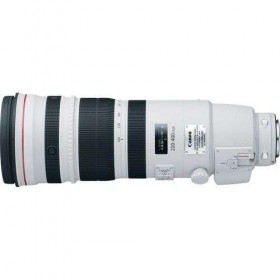 Canon EF 200-400mm f/4L IS USM Extender 1.4x-2