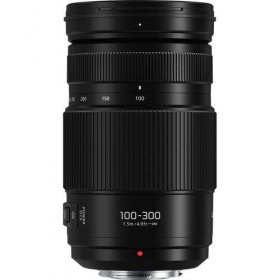 Objectif Panasonic Lumix G Vario 100-300mm f4-5.6 II OIS-2