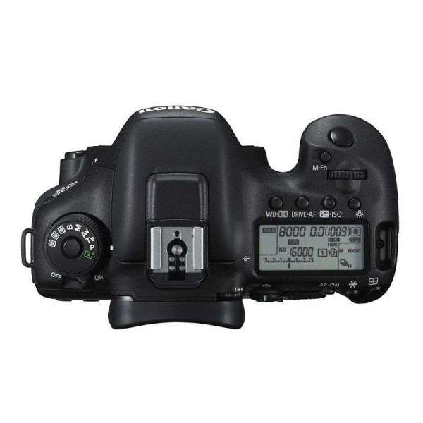 Canon EOS 7D Mark II + EF 24-105 f/4 L IS II-1