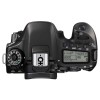 Appareil photo Reflex Canon 80D + EF-S 18-135 mm F3.5-5.6 IS USM NANO + Sigma 70-300mm F4-5,6 DG macro-1