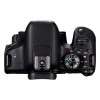 Appareil photo Reflex Canon 77D + EF-S 18-55mm F4-5.6 IS STM + Sigma 70-300 mm F4-5,6 DG Macro-1