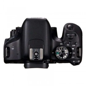 Canon EOS 800D + EF-S 18-55mm f/4-5.6 IS STM + EF-S 55-250 mm f/4-5,6 IS STM-1