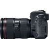 Canon 6D Mark II + EF 24-105mm f/4L IS II USM - Appareil photo Reflex|MCZ DIRECT