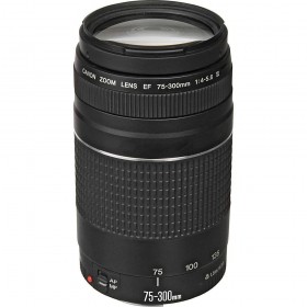 Canon EF 75-300mm F4.0-5.6 III-6