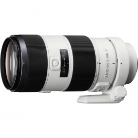 Sony SAL 70-200 mm f/2.8 G SSM II-4