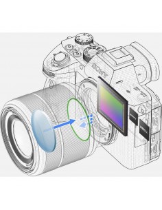 Sony A7 III + FE 24-105 mm F4 G OSS + SanDisk 256GB UHS-I SDXC 170 MB/s + 2 NP-FZ100 + Sac - Detail technique