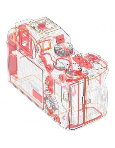 Sony Alpha 7 III + SEL FE 24-240 mm f/3.5-6.3 OSS-6