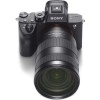 Sony ALPHA 7R III + SEL FE 24-70 mm f/2.8 GM|MCZ DIRECT