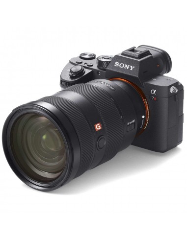 Sony ALPHA 7R III + SEL FE 24-70 mm f/2.8 GM-5