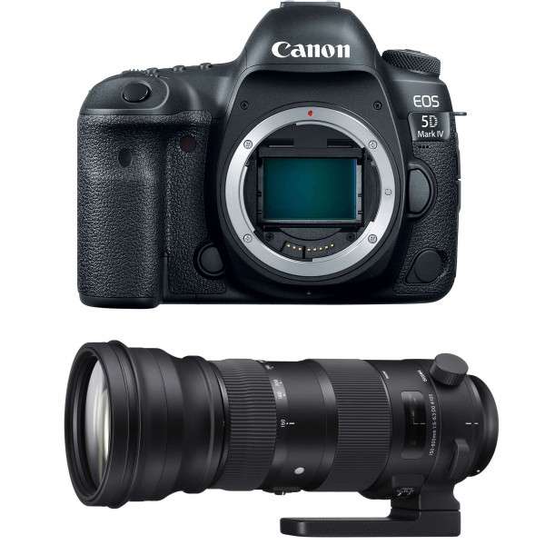 Canon 5D Mark IV + Sigma 150-600mm f/5.0-6.3 DG OS HSM Sports - Cámara reflex-1