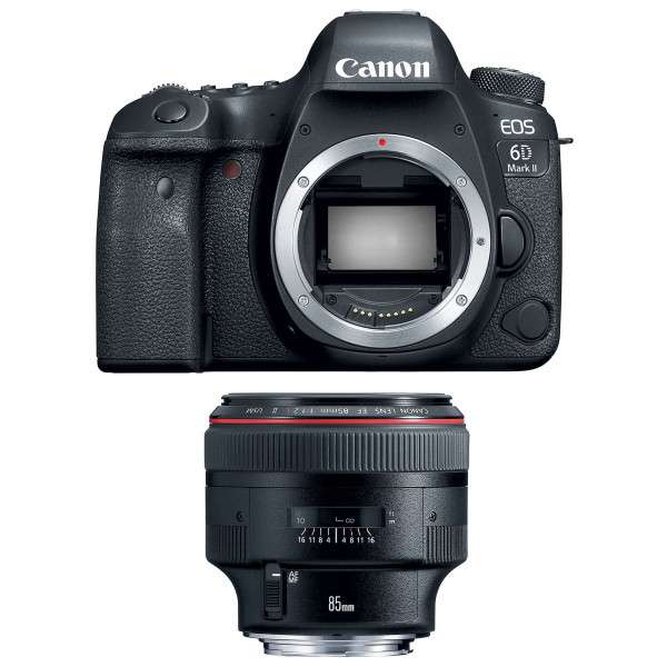 Canon EOS 6D Mark II + EF 85mm f/1.2L II USM-1