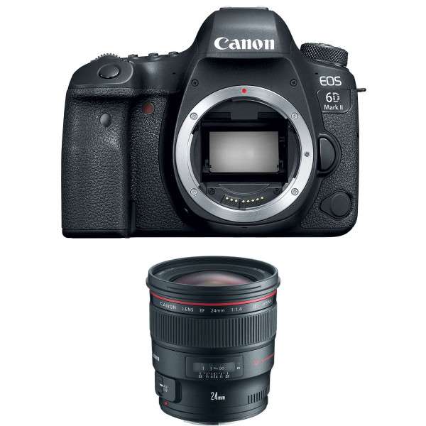 Canon EOS 6D Mark II + EF 24mm f/1.4L II USM-1