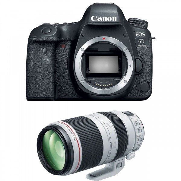 Canon EOS 6D Mark II + EF 100-400mm f4.5-5.6L IS II USM