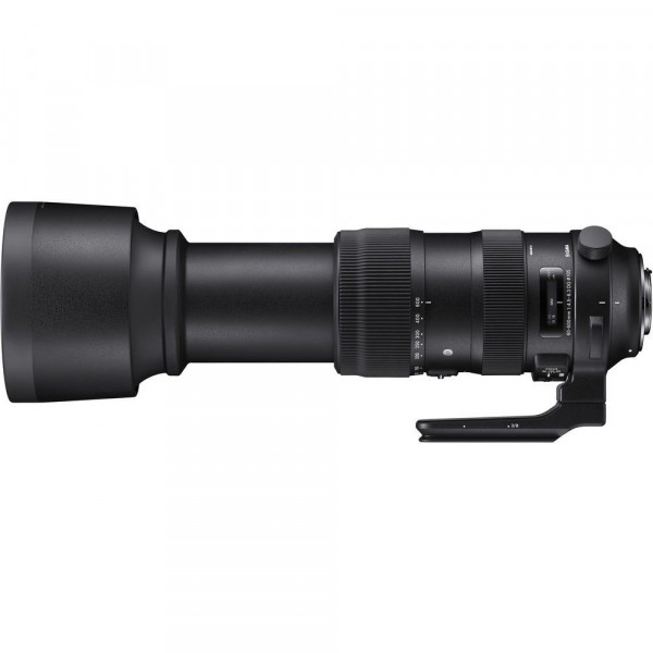 Sigma 60-600mm F4.5-6.3 DG OS HSM Sports Nikon - Objetivo Sigma-2