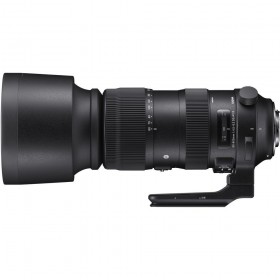 Sigma 60-600mm F4.5-6.3 DG OS HSM Sports Nikon - Main view