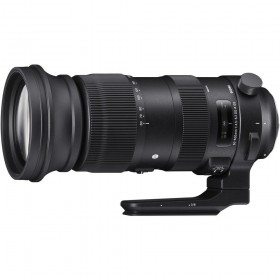 Sigma 60-600mm F4.5-6.3 DG OS HSM Sports Nikon - Vista principal Sigma 60-600mm F4.5-6.3 DG OS HSM Sports Nikon - Vista principal