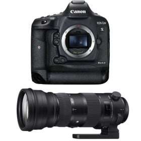 Canon EOS 1D X Mark II + Sigma 150-600mm f/5.0-6.3 DG OS HSM Sports-1