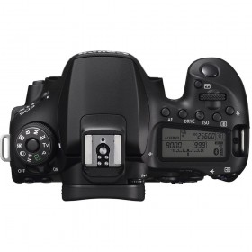 Canon EOS 90D + 18-55mm F/3.5-5.6 EF-S IS STM-1