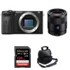 Sony A6600 + Sony Sonnar T* FE 55mm F1.8 ZA + SanDisk 128GB Extreme PRO UHS-I 170 MB/s + Sac - Appareil Photo Hybride|MCZ DIRECT