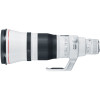 Canon EF 600mm f/4L IS III USM-2