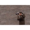 Sony A7 III Cuerpo + NP-FZ100 - Camara mirrorless|MCZ DIRECT