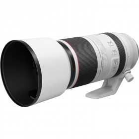 Canon RF 100-500mm F4.5-7.1L IS USM - Detail technique Canon RF 100-500mm F4.5-7.1L IS USM - Detail technique